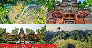 Beberapa Wisata di Ubud yang Gratis